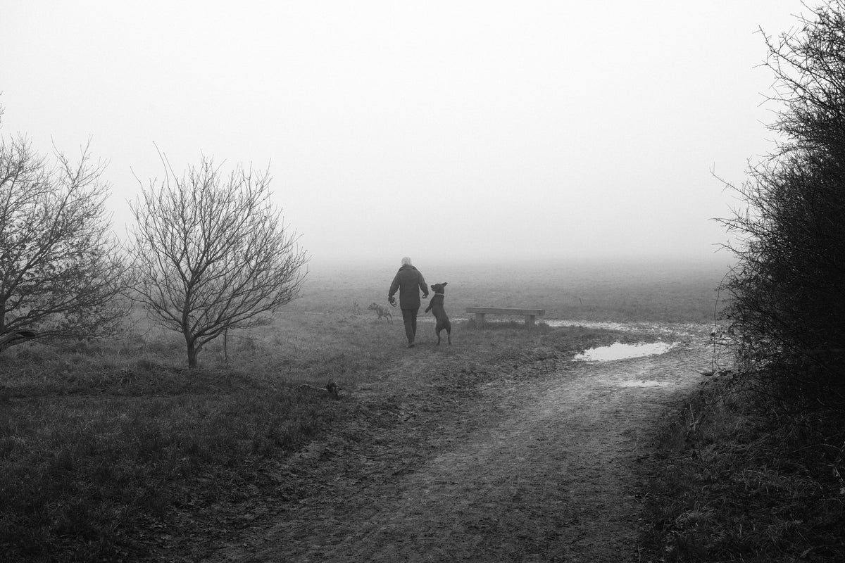The Walk