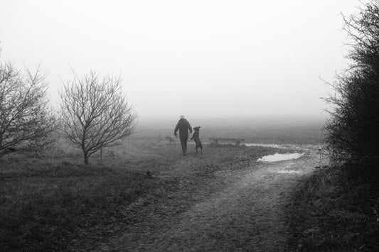 The Walk
